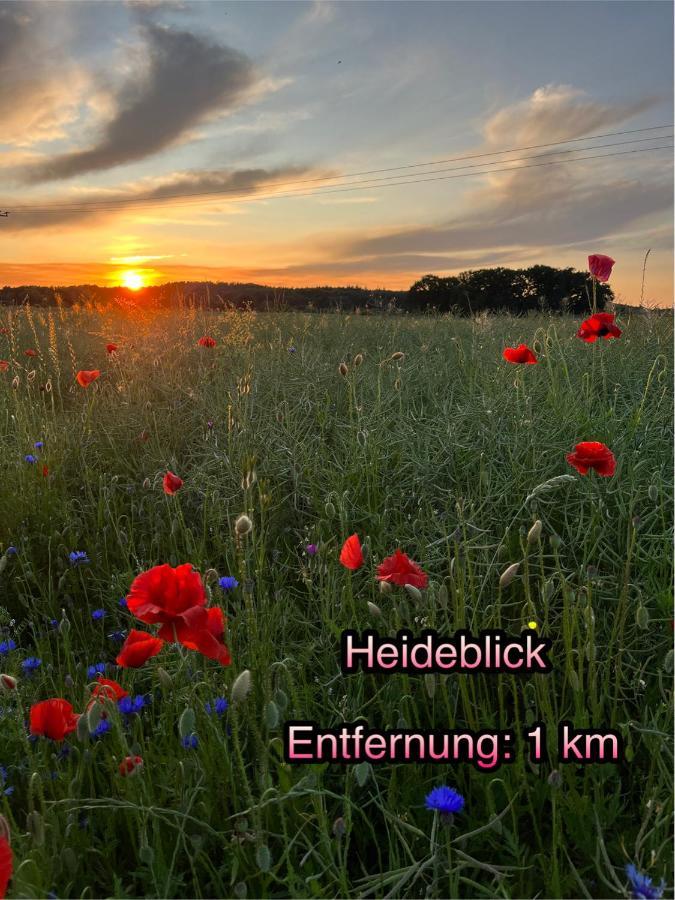 Wormis Apartment Heideblick Bei Luckau ภายนอก รูปภาพ